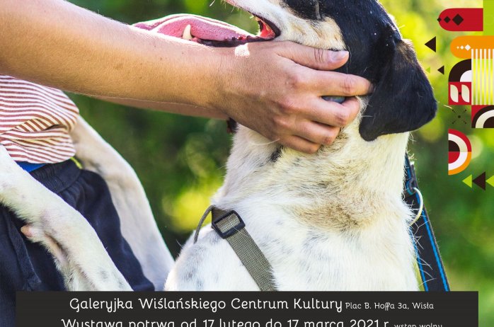 Czekając na własny kąt, wystawa w WCK